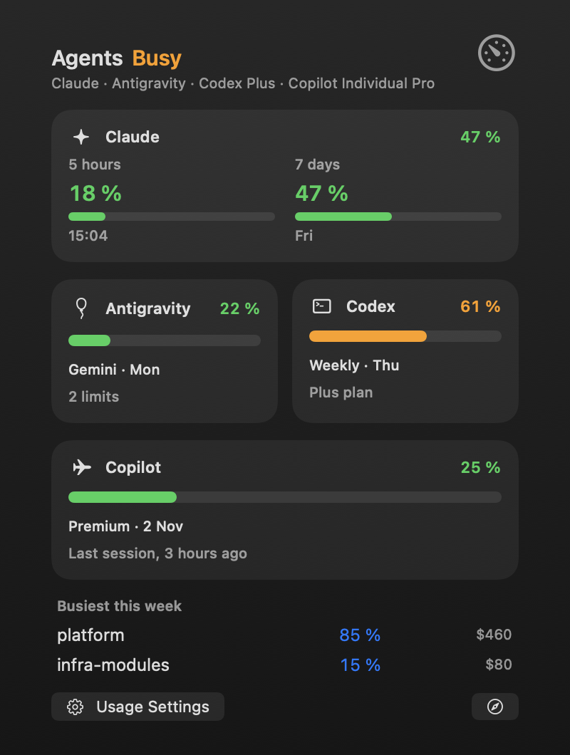 The agents’ usage panel: Claude, Antigravity, Codex and Copilot cards, and the busiest projects